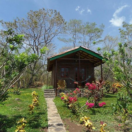 Finca Montana Sagrada Mérida Zimmer foto
