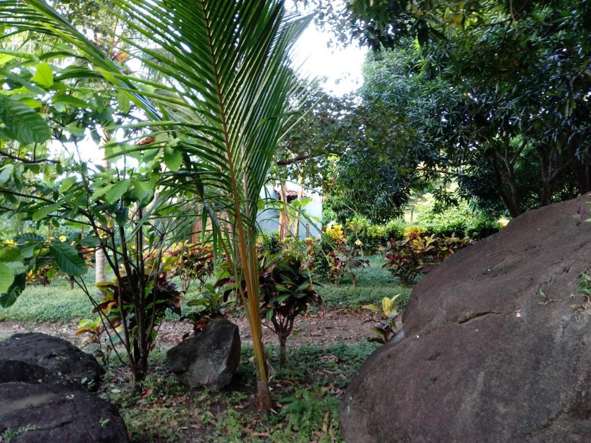 Finca Montana Sagrada Mérida Exterior foto